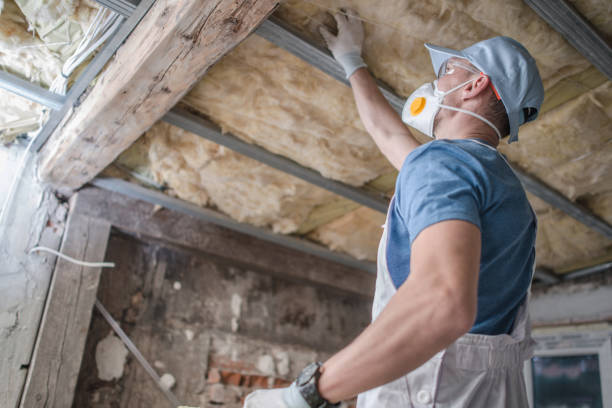 Best Insulation Contractor Near Me  in Wood River, IL
