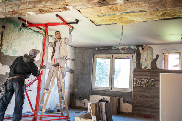 Best Cellulose Insulation  in Wood River, IL