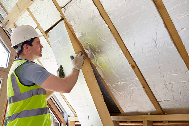 Best Insulation for New Construction  in Wood River, IL
