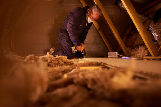 Best Spray Foam Insulation  in Wood River, IL